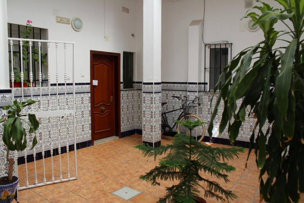 Cdz - Casa De Los Viajeros Pasquin Cádiz Kültér fotó